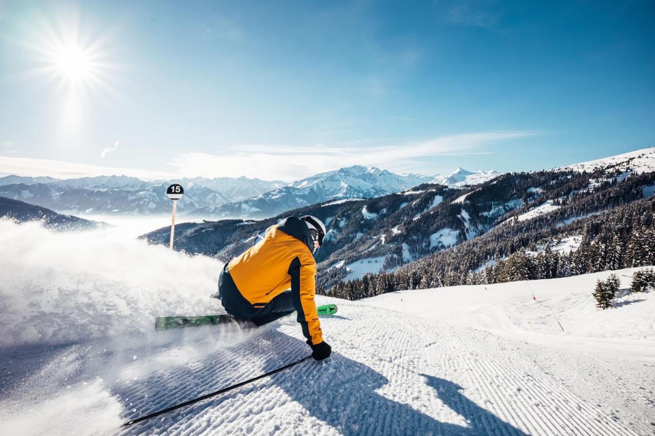 Alpenparks & Areitxpress *